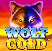 Wolf Gold на Champion